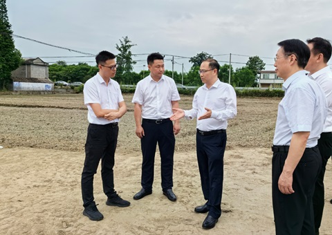 胡云赴眉山调研耕地保唬唬护使用和高标准农田建设事情