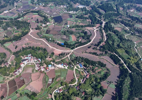 内江市东兴区局周全做好耕地；；； 全力做好用地包管