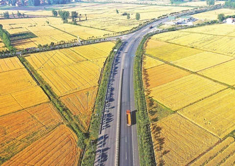 湖北奖励十五个耕保效果突出县（市、、、区）