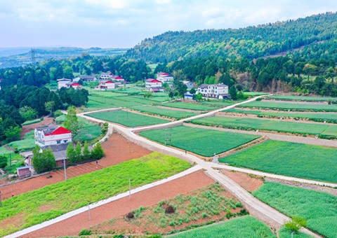 广元市推行“卫星田长”科技助力精准；；；じ